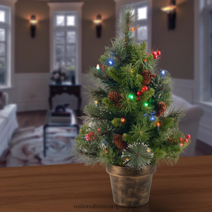 Trees | National Tree Company Pre-Lit Artificial Mini Christmas Tree Green Crestwood Spruce Multicolor Lights Decorated with Pine Cones Berry Clusters Frosted Branches Includes Pot Base 2 Feet